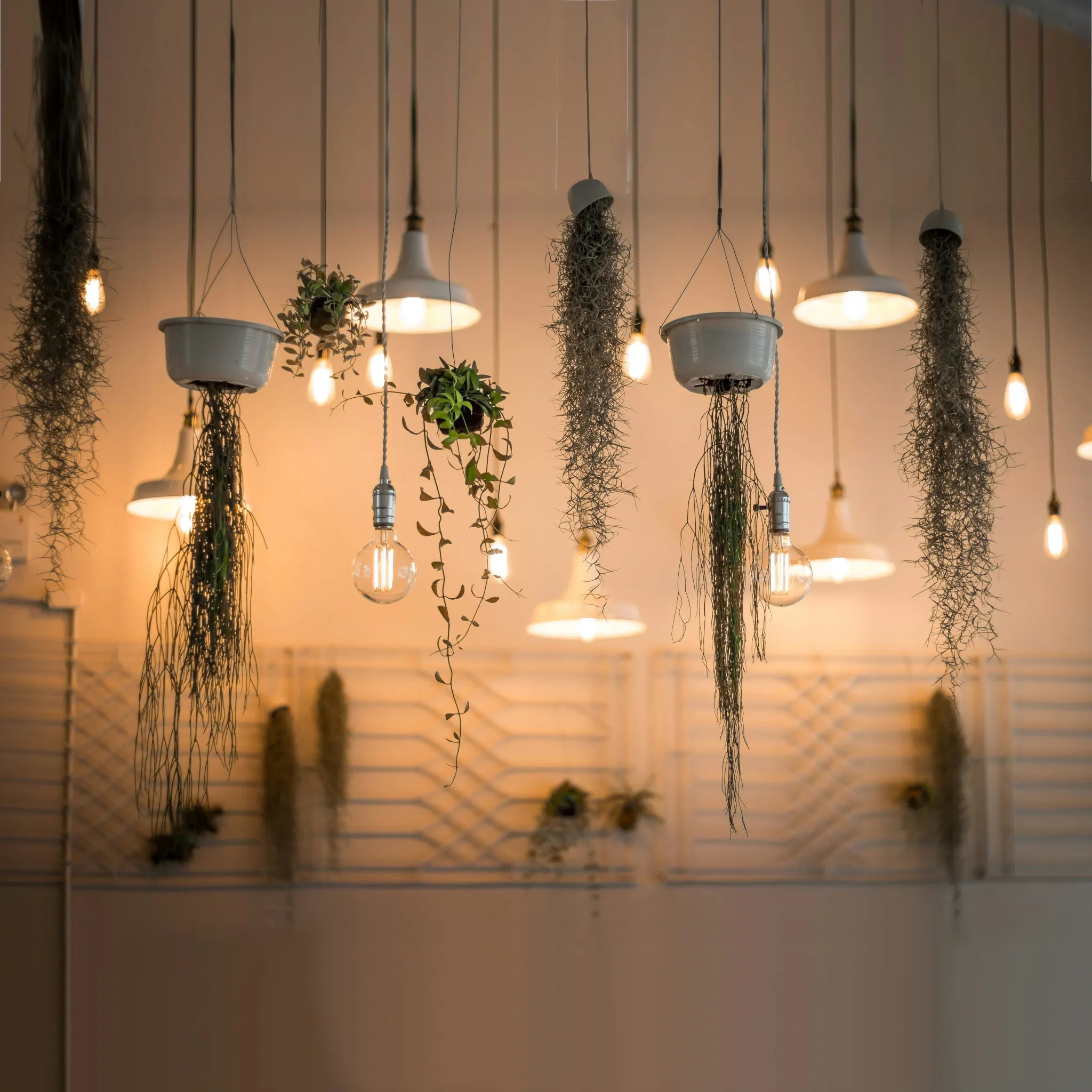 LED