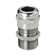 FORSKRUNING PERF.M20 9-13 LG MS