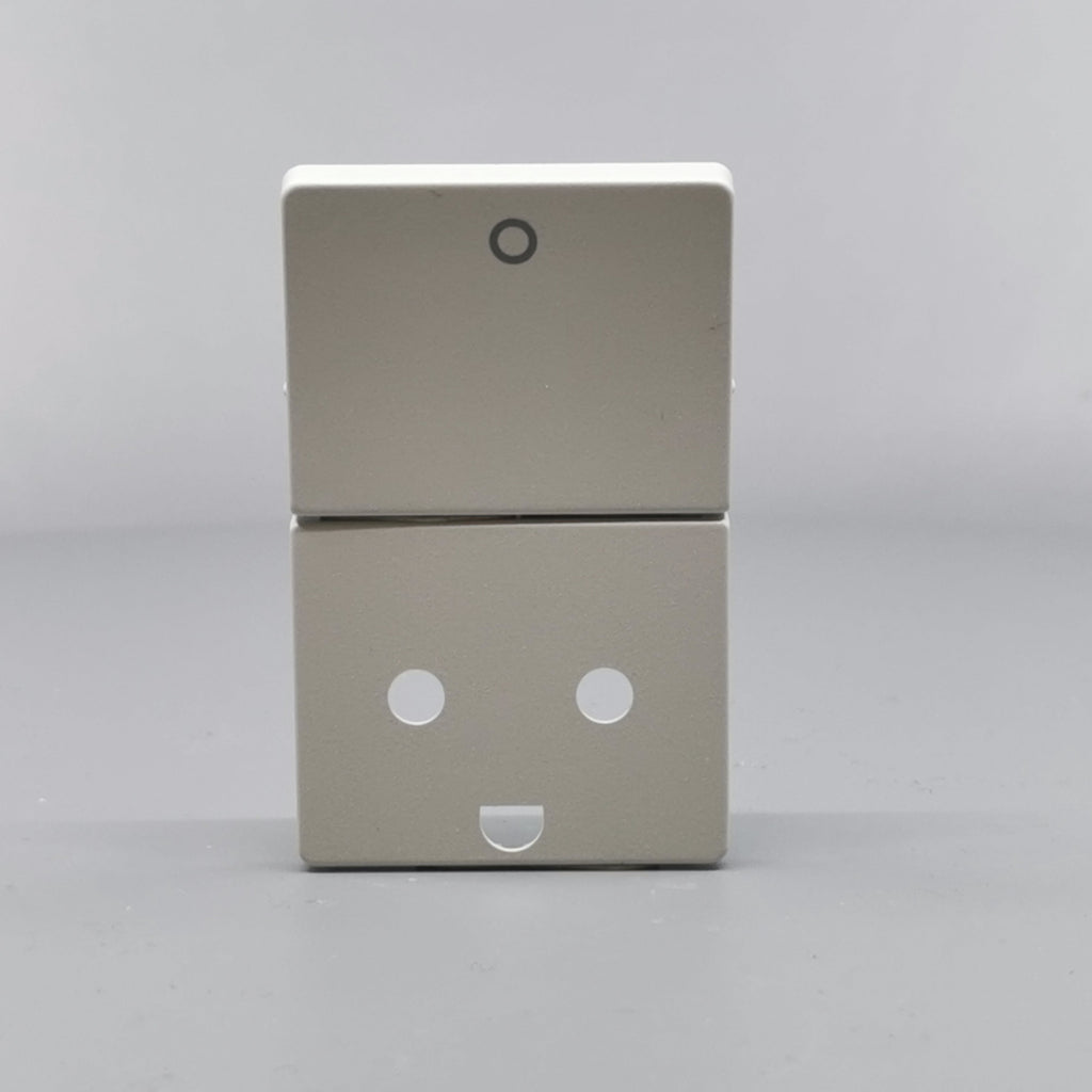 LK Fuga afdækning til stikkon. m. jord og 2-pol afbryder - lysegrå