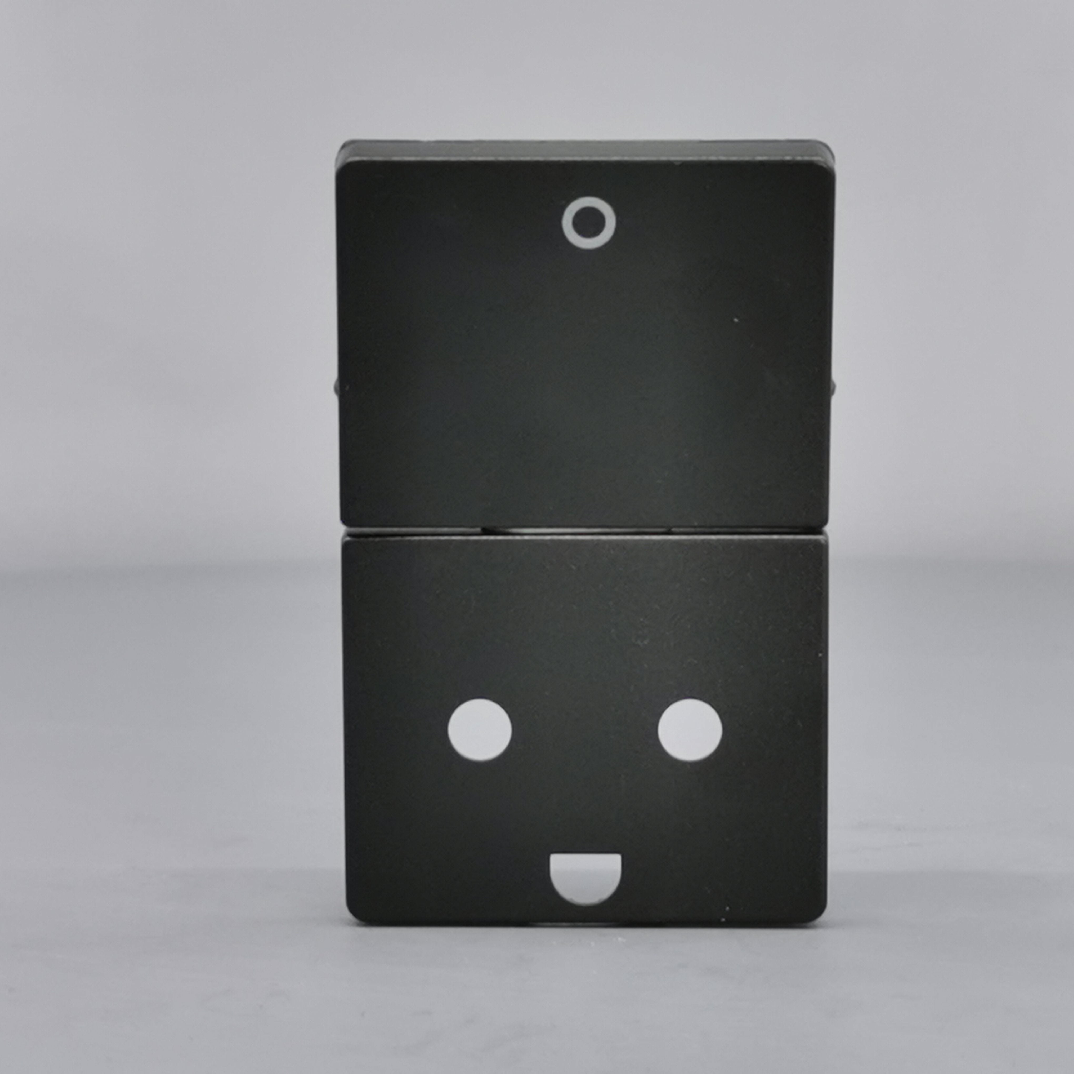 LK Fuga afdækning til stikkon. m. jord og 2-pol afbryder - koksgrå