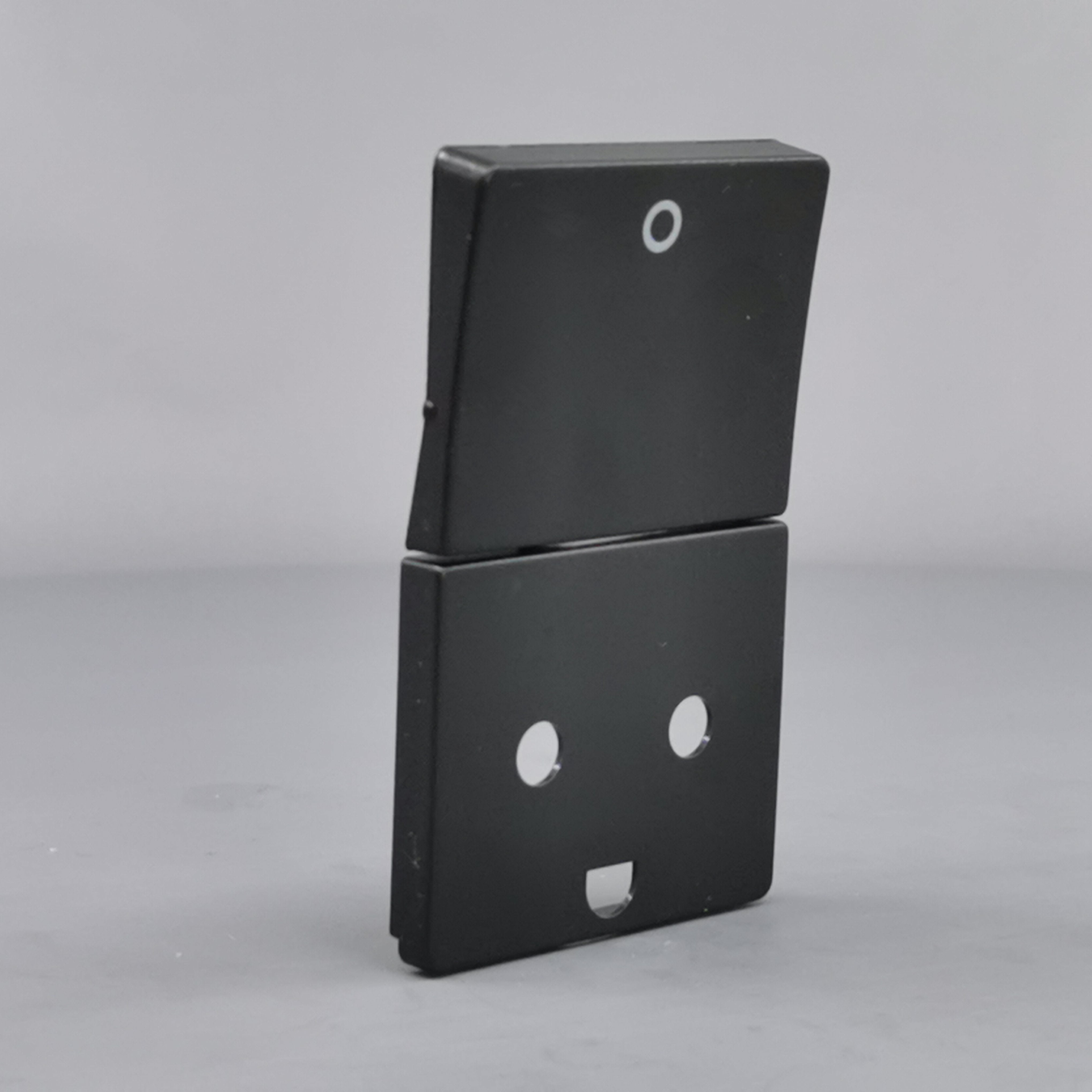 LK Fuga afdækning til stikkon. m. jord og 2-pol afbryder - koksgrå