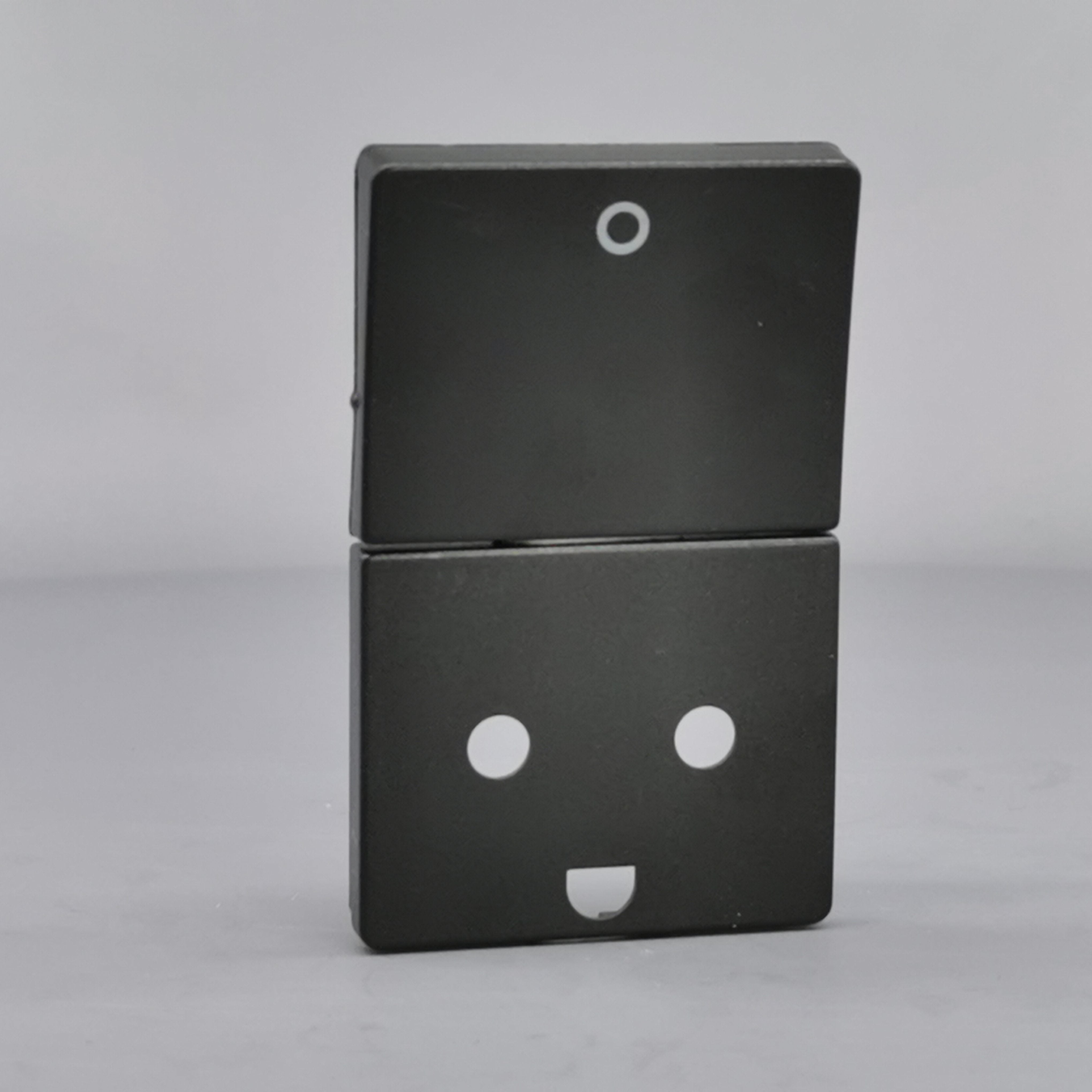 LK Fuga afdækning til stikkon. m. jord og 2-pol afbryder - koksgrå