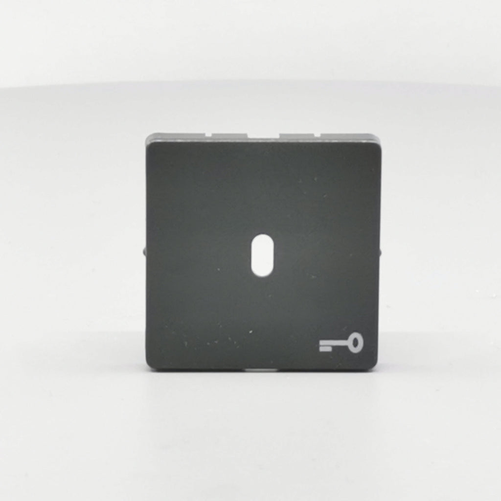 Fuga afdækning til afbryder f. nøgle koksgrå