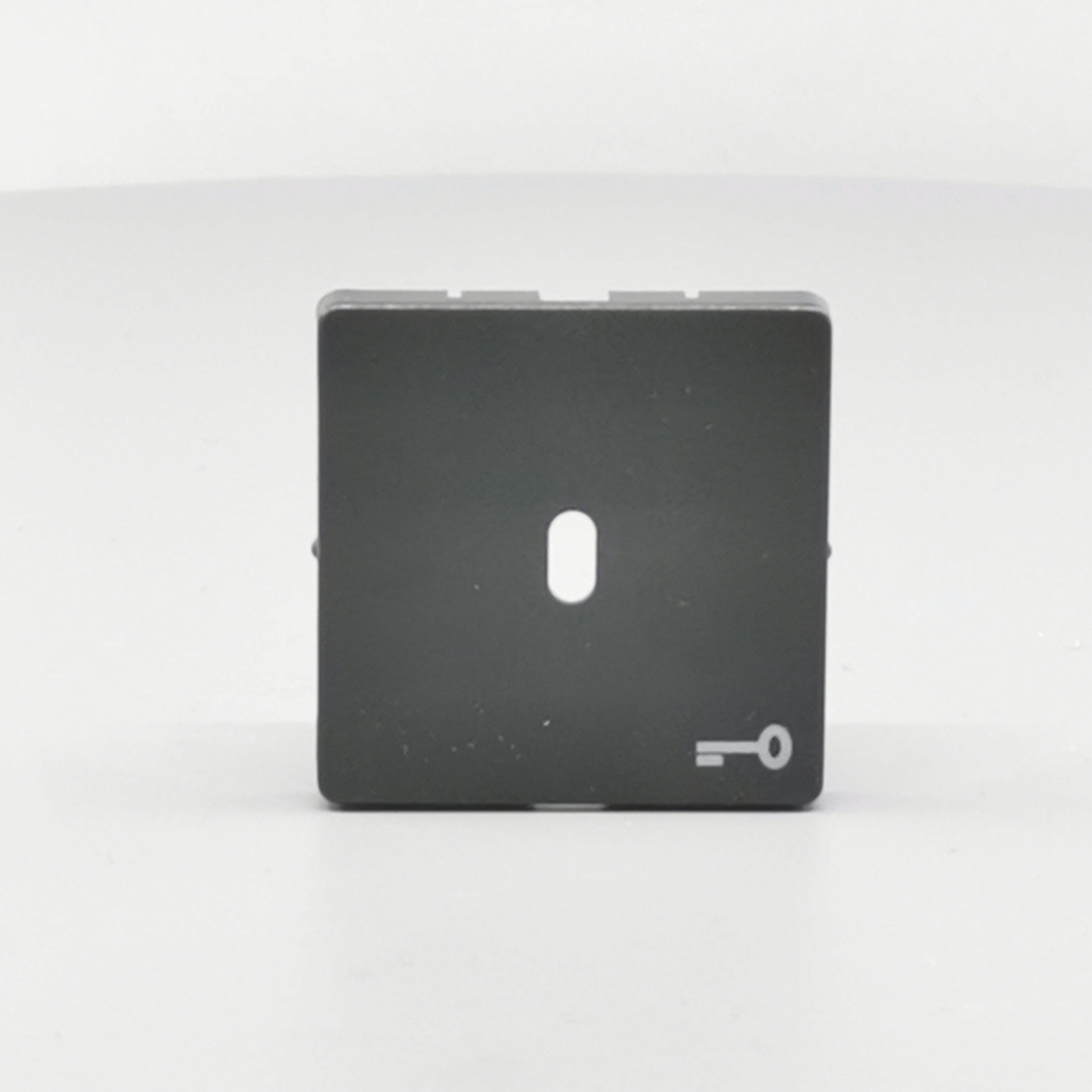 Fuga afdækning til afbryder f. nøgle koksgrå