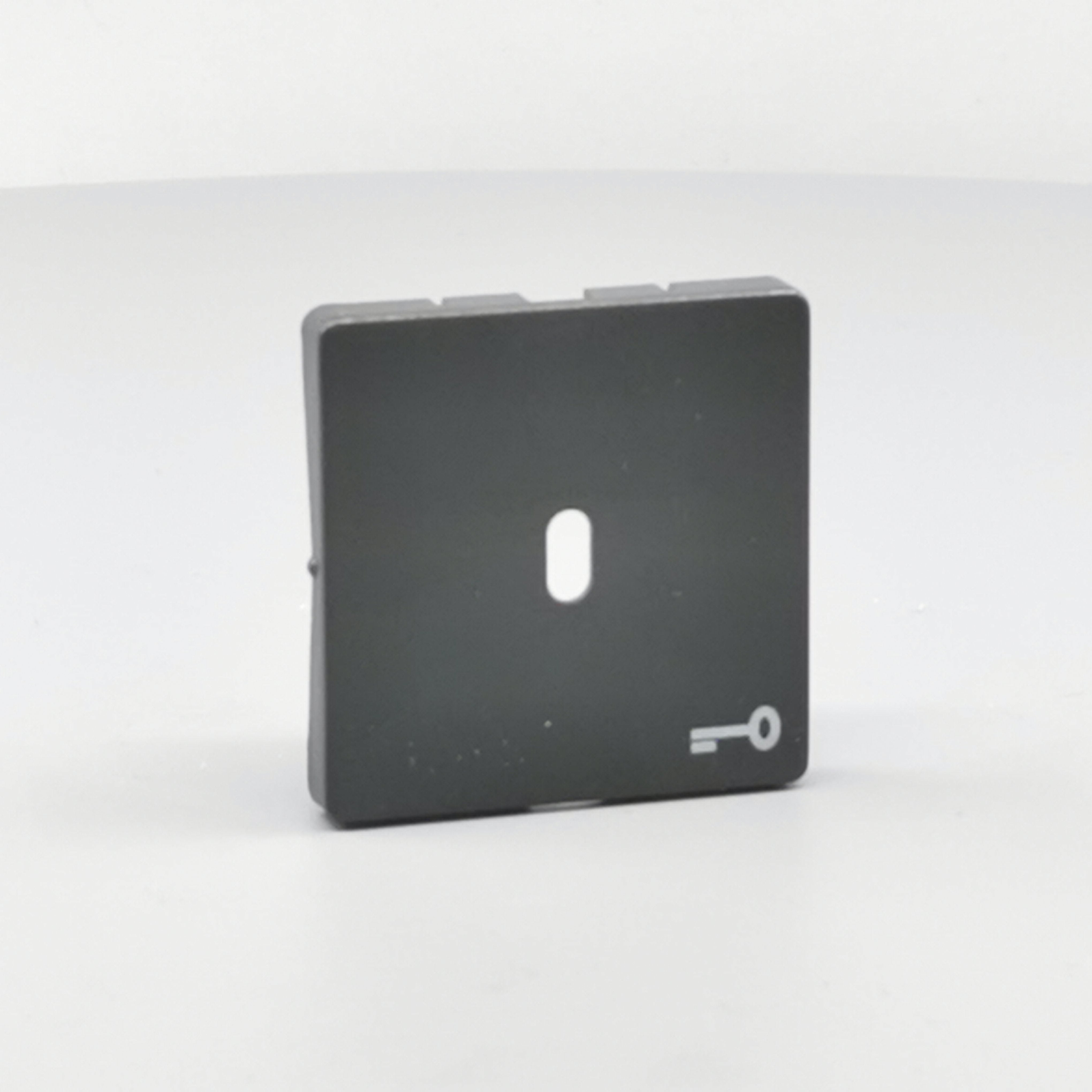 Fuga afdækning til afbryder f. nøgle koksgrå