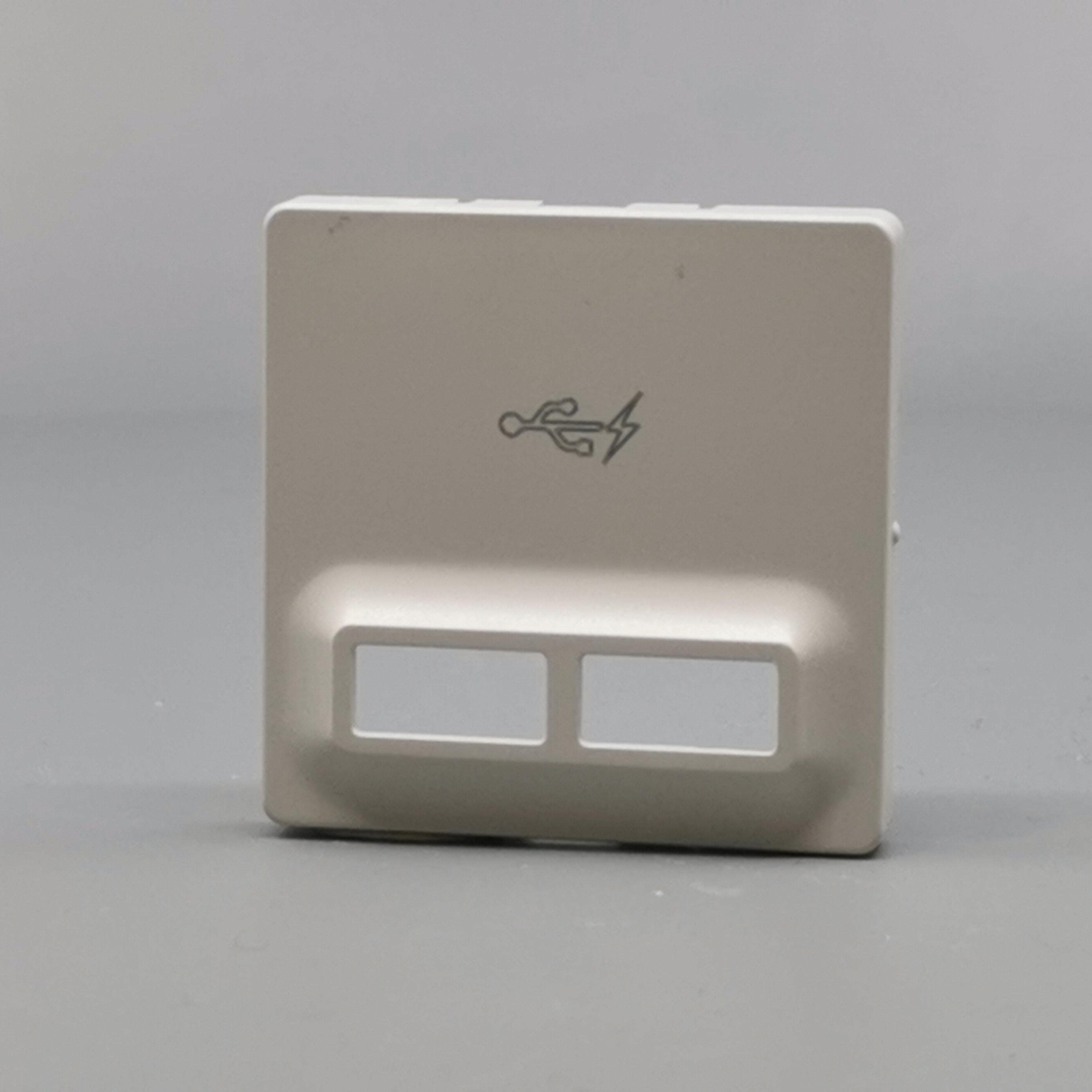 Fuga afdækning til 2 USB-ladere lysegrå