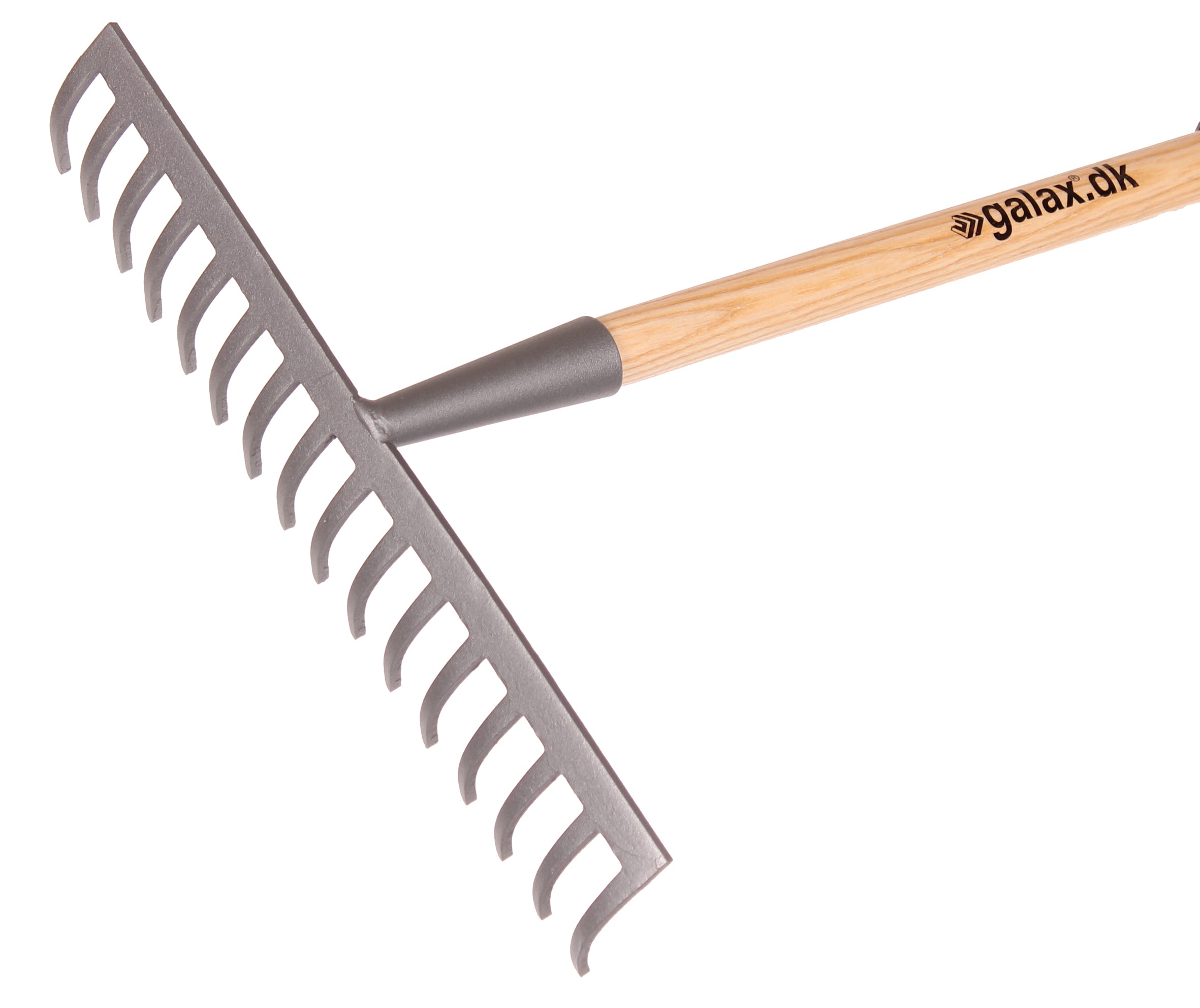 Galax rive, 16-tands/40,0 cm