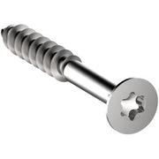 AFBRYDERSKRUE 3X25MM TORX 10