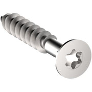 AFBRYDERSKRUE 3X20MM TORX 10