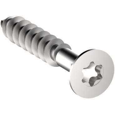 AFBRYDERSKRUE 3X20MM TORX 10
