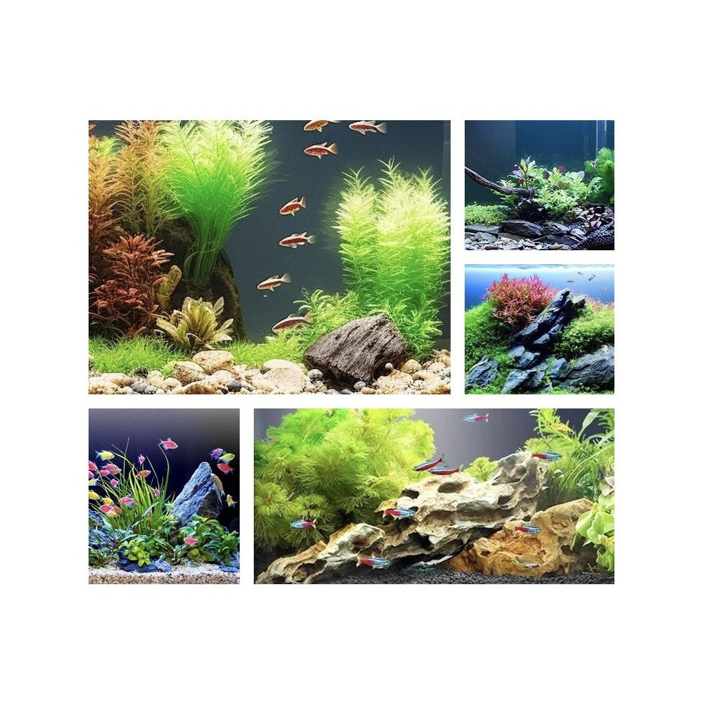 45 cm RGBW akvarie armatur - 12W LED, IP67 - Vandtæt belysning til akvarier, 12W effekt, 230V input, 600lm lysstyrke, IP67 klassificeret