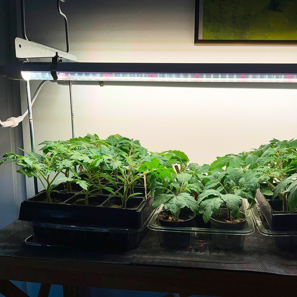 LEDlife Pro-Grow 2.0 vækst sæt - 2 x 90 cm, 30W LED, fuldt spektrum