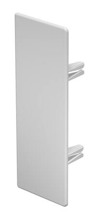ENDESTYKKE 60X170 MM HVID RAL 9010