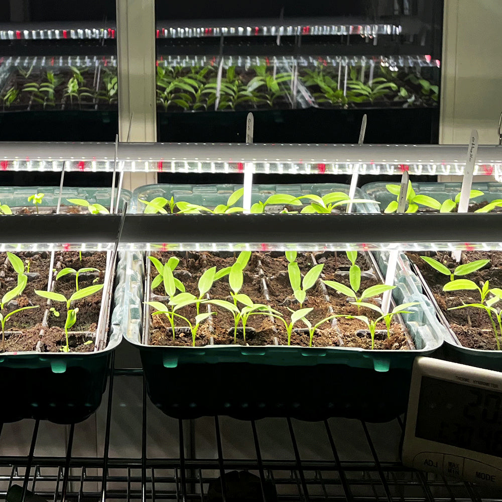 LEDlife Pro-Grow 2.0 vækstarmatur - 90 cm, 15W LED, fuldt spektrum, vandtæt