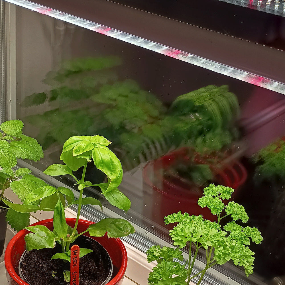 LEDlife Pro-Grow 2.0 vækstarmatur - 90 cm, 15W LED, fuldt spektrum, vandtæt