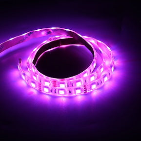 LED-STRIP, RGBW, 12V, IP65