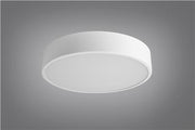CAMPUS C300 15W CCT MPO