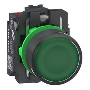 LAMPETRYK KOMP GRØN 24V 1NO+NC PUSH-IN