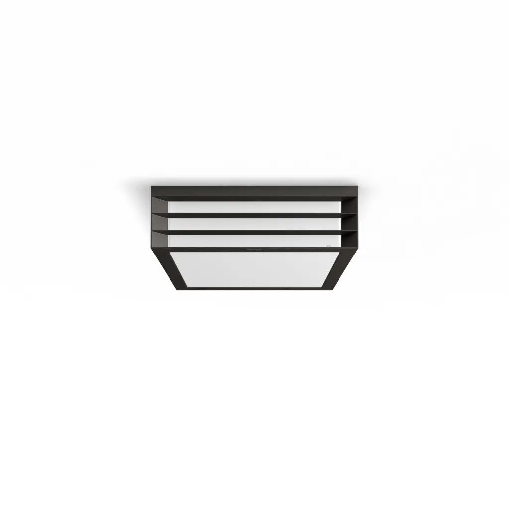 Moonshine Pendant Ceiling anthracite 2x14W 230V
