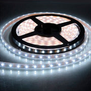 10,8W/M LED bånd 6000K, 5 meter, Hvid, 12V