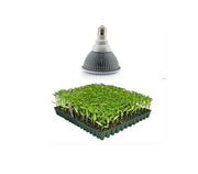 LED 12W vækstlampe, E27, Grow lamp