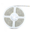 4.8W LED STRIP 6000K kold hvid IP65