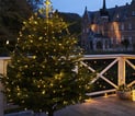 Knirke Julelys 273L Klar/Grøn
