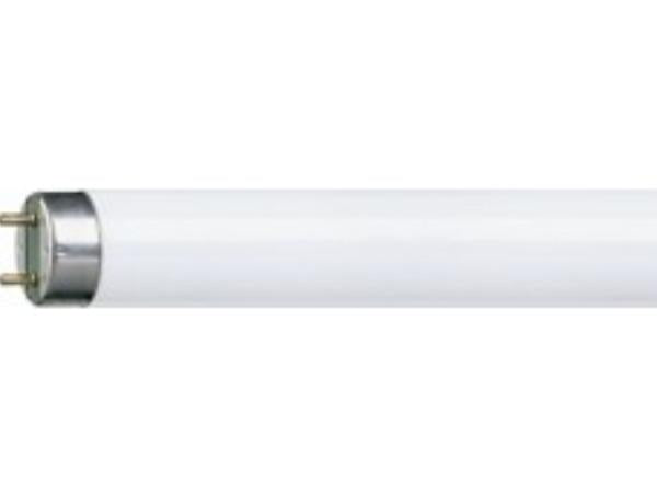 Lysstofrør - 10W, 33cm, G13 sokkel (840)