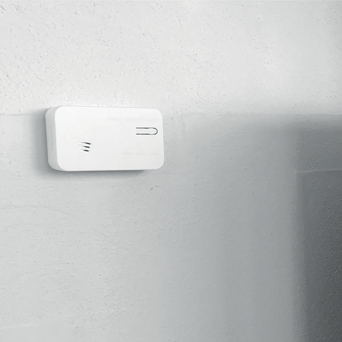 FESH SMART HOME kuliltealarm