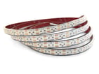 COO LED bånd 5m 24V 14,4W 3000K IP68 m/2x3m kabel