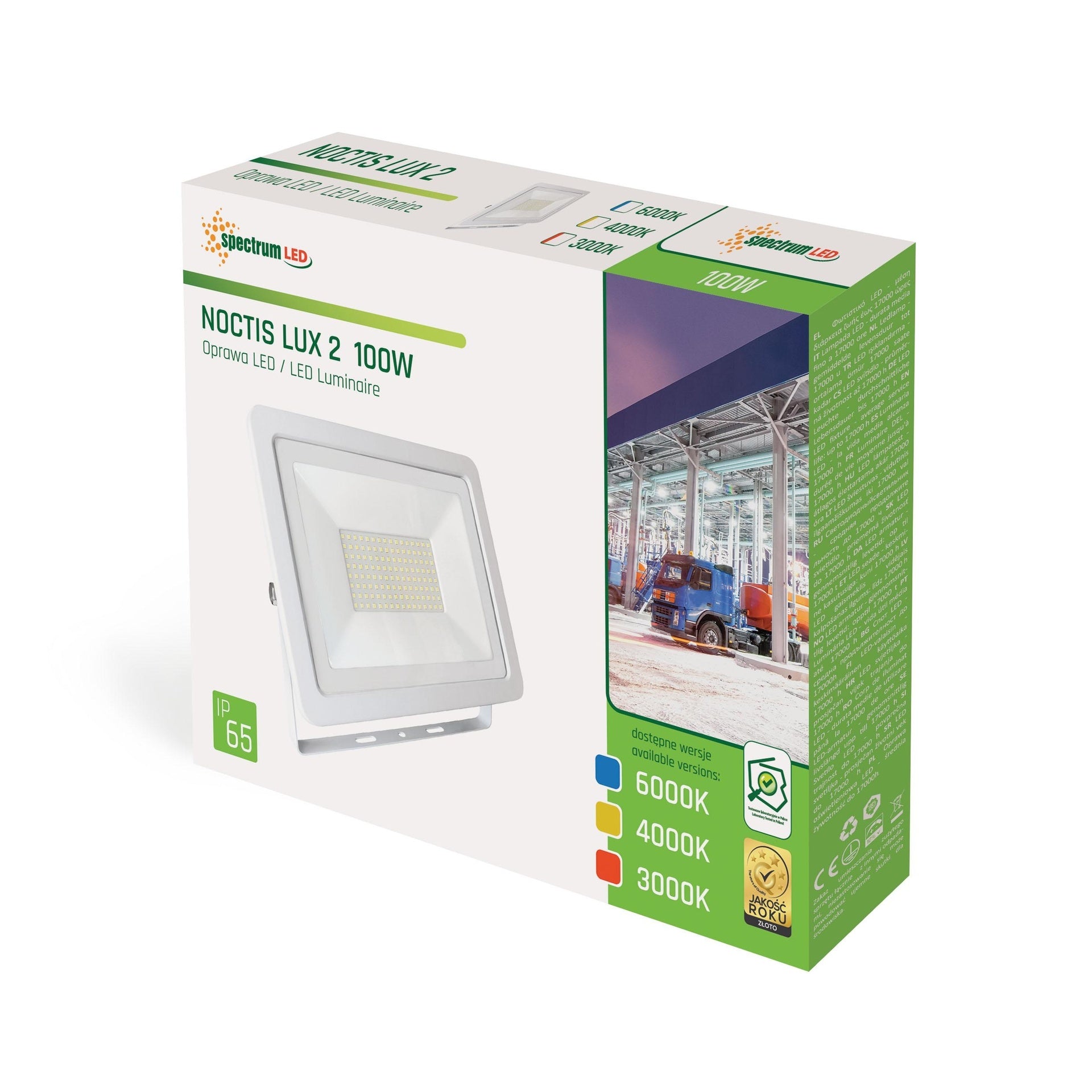 100W LED Projektør 6000K 8300 Lumen