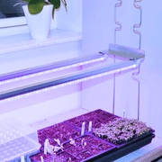 LEDlife Pro-Grow 2.0 60 cm Vækstlys - 20W LED, Fuldt Spektrum, IP65