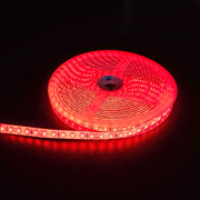 Rød 10W/m LED strip - 5m, 120 LED pr. meter, 24V, IP65 - Vandtæt og energieffektiv LED belysning til indendørs og udendørs brug.