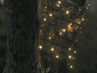 Julius LED lightchain 320L 24m WW IP44 31v