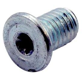 200 CYLINDERSKRUE, TORX, LAVT HOVED