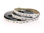 RGBW LED Bånd 24V 30W IP67 - 96DIO