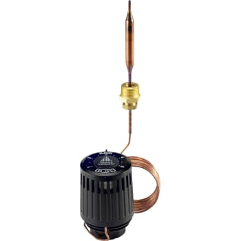 RAVK 25-65° termostat element