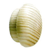 Dækprop  9,5x 16mm   fyr