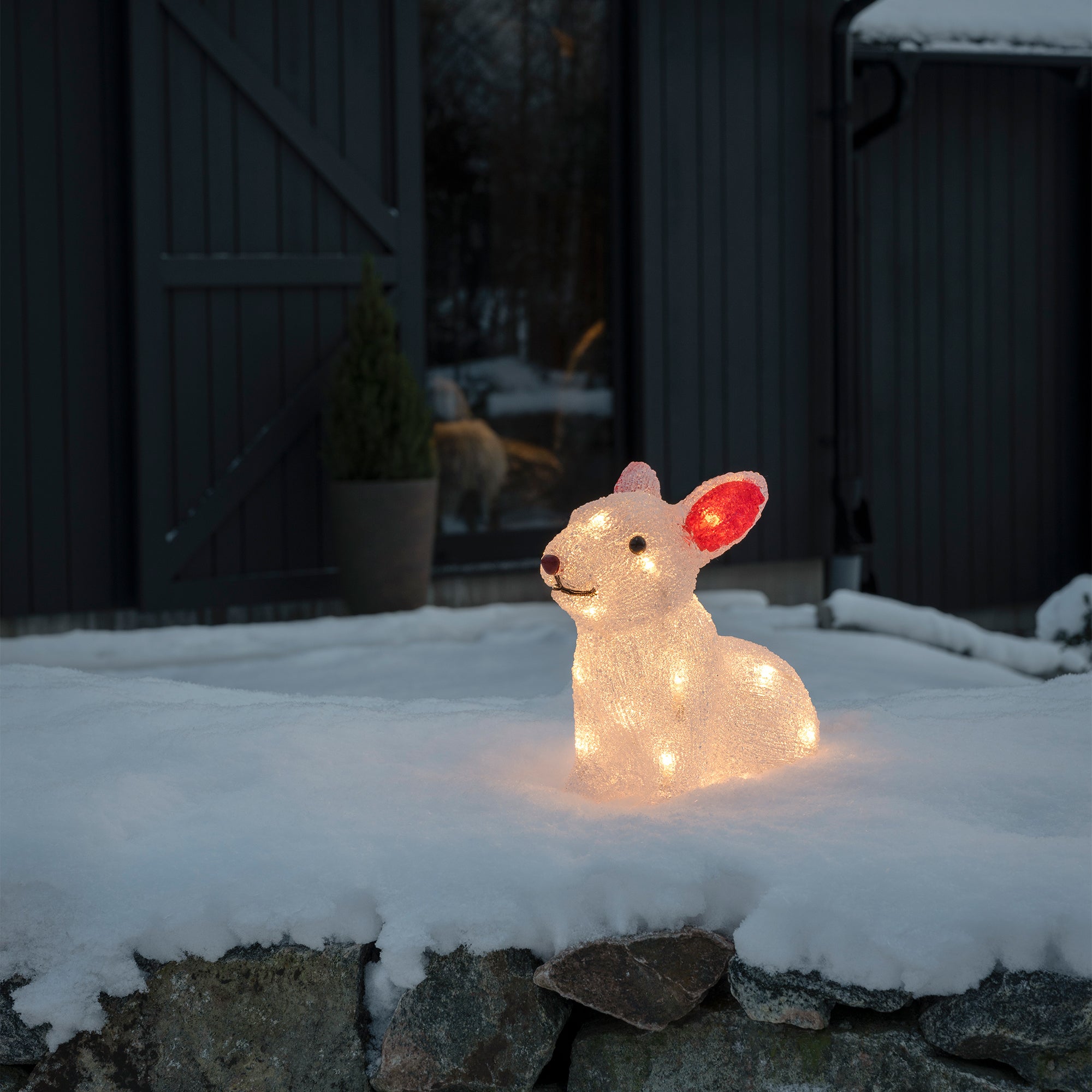 Konstsmide Kanin i akryl 22 cm, 24 varmhvide LED.