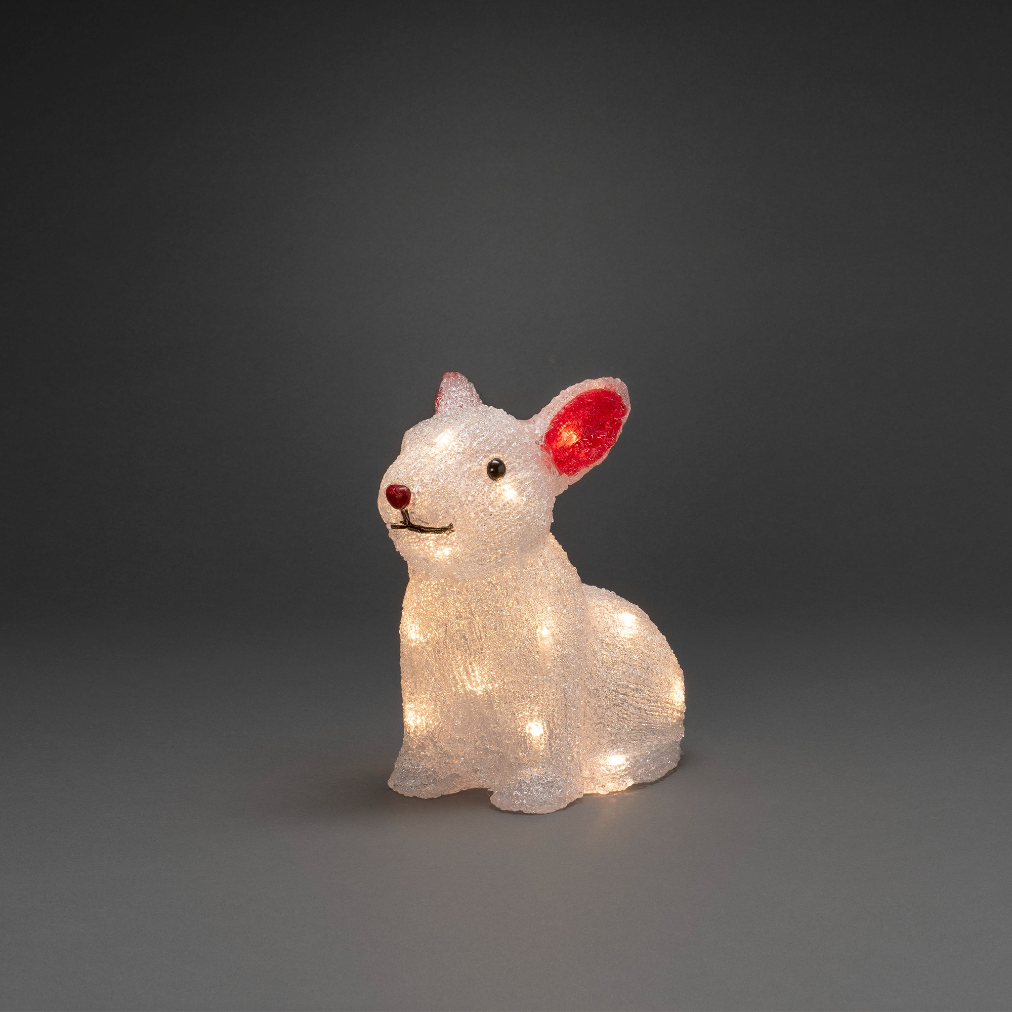 Konstsmide Kanin i akryl 22 cm, 24 varmhvide LED.