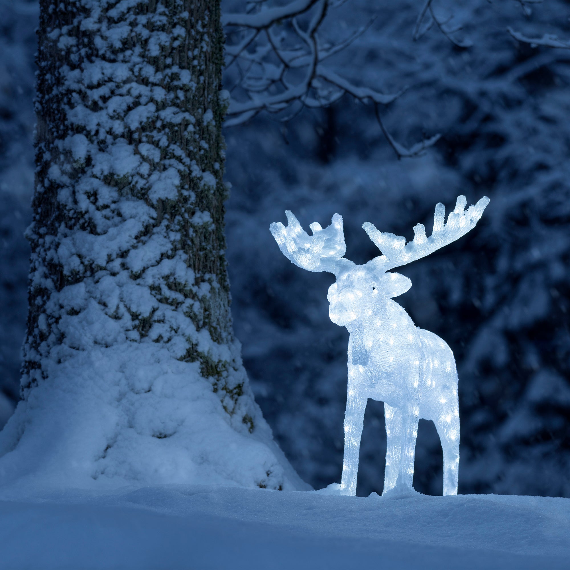 Konstsmide Elg i akryl med 200 hvide LED, højde 100 cm.
