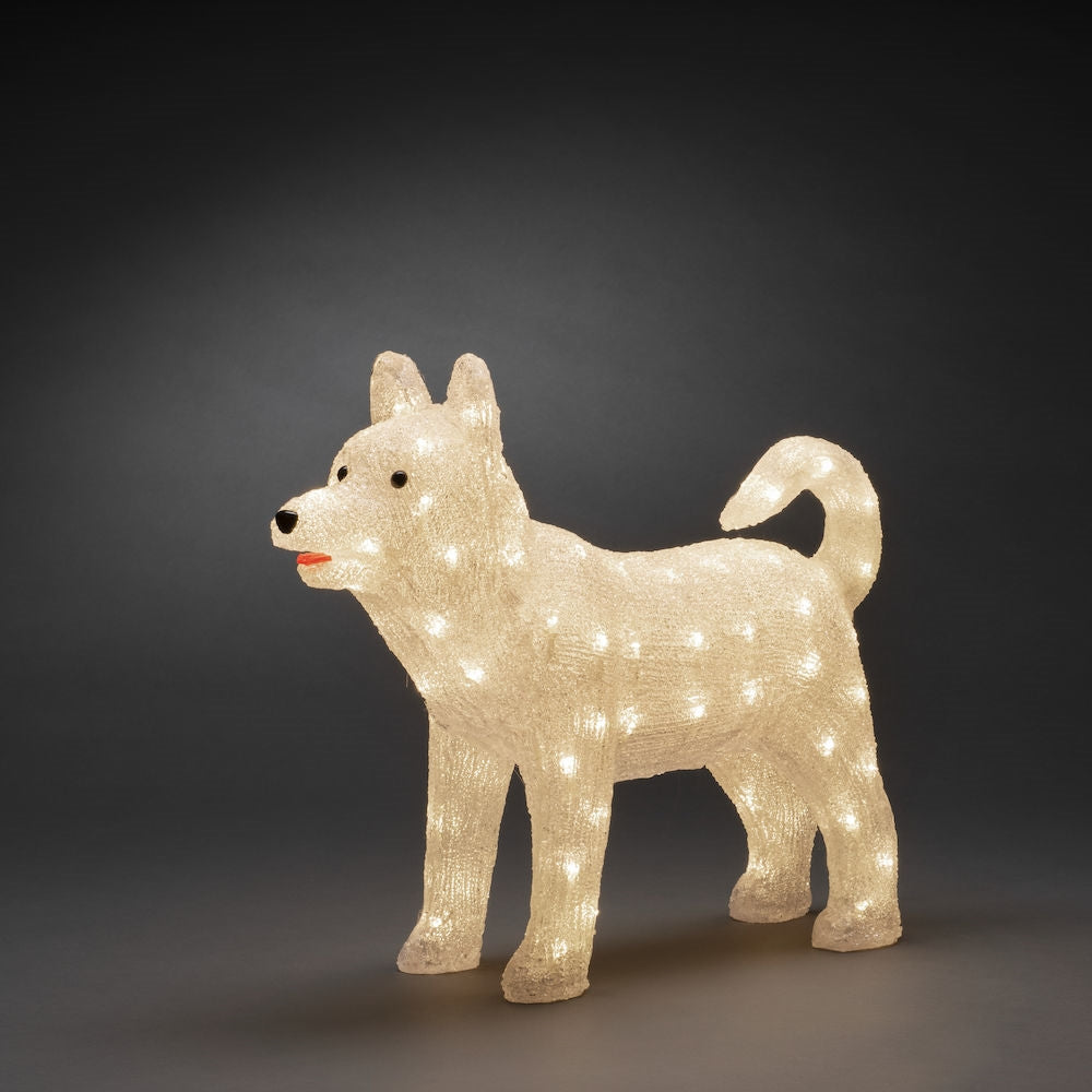 Hund Husky akryl 88 varmhvide LED 43 cm 24V/IP44