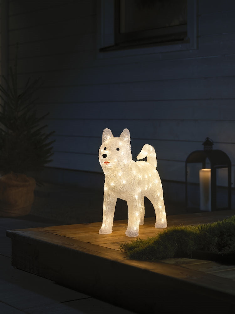 Hund Husky akryl 88 varmhvide LED 43 cm 24V/IP44