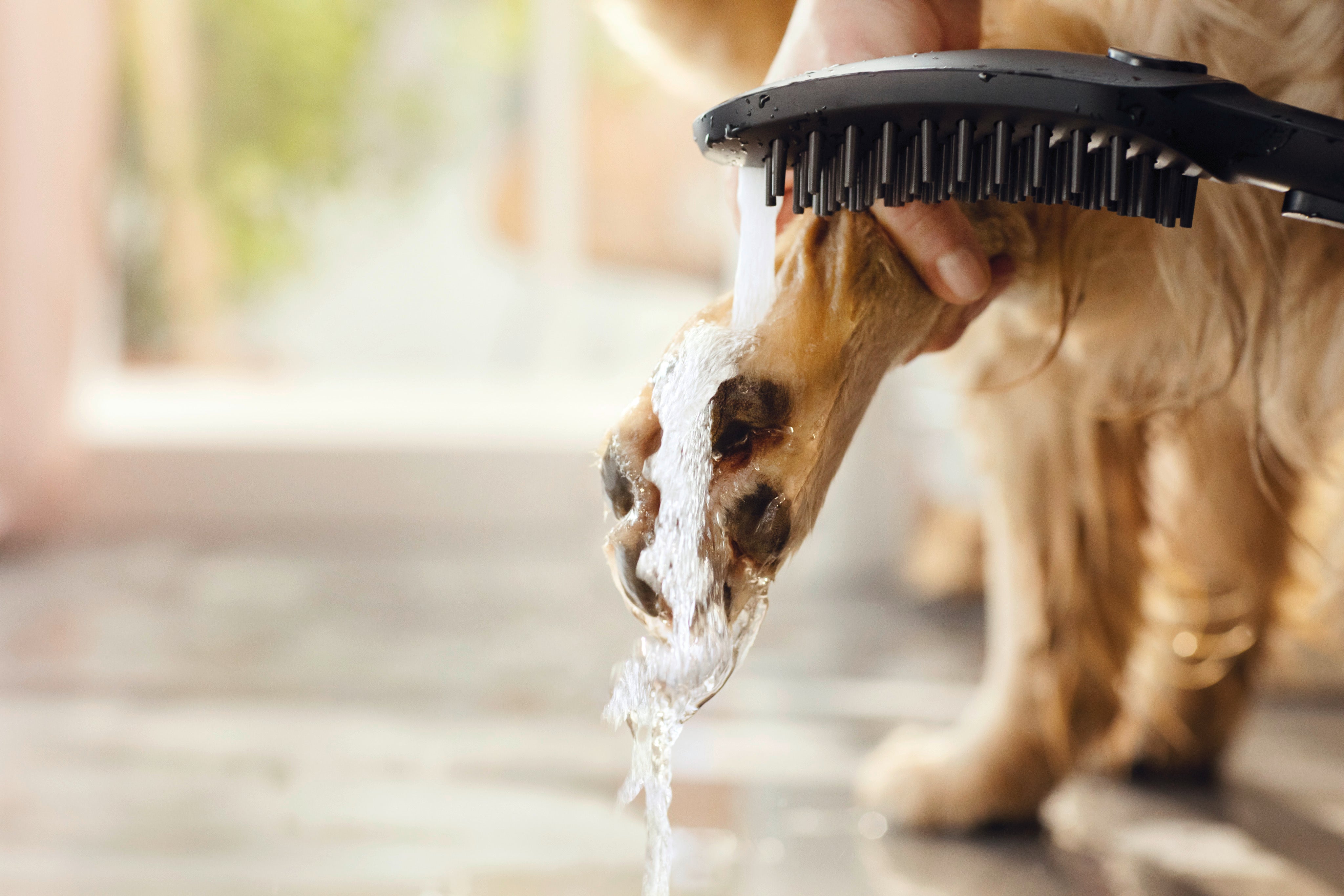 HANSGROHE håndbruser 150mm 3stråletp hundebruser black