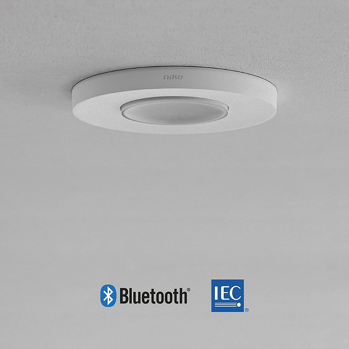 P42MR MASTER INDBYG. DÅSE