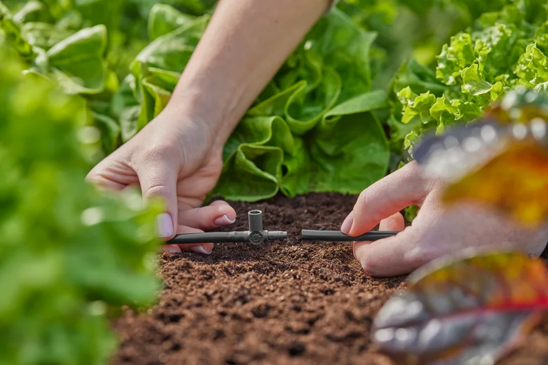 Gardena Micro-Drip-System T-stykke t. sprøjtedyse 4,6mm (3/16")