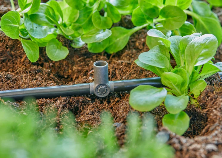 Gardena Micro-Drip-System T-stykke t. sprøjtedyse 4,6mm (3/16")