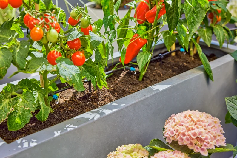 Gardena Micro-Drip-System terrassesæt (30 planter)