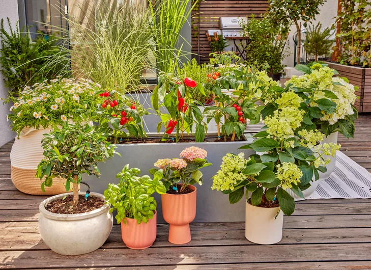Gardena Micro-Drip-System terrassesæt (30 planter)