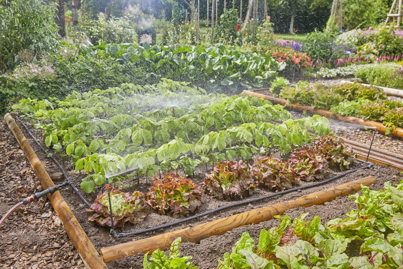 Gardena Micro-Drip-System grøntsags-/blomsterbedssæt (60m2)